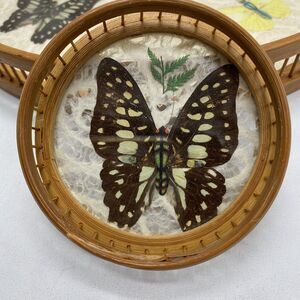 NOS Vintage Bamboo Acrylic Pressed Butterfly Botanical Nature Tray & Coaster Set